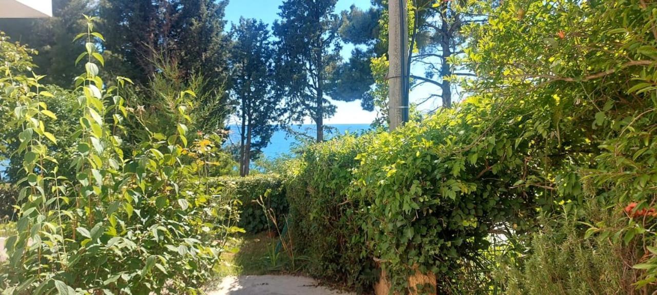 Apartmani Sunce Bar Camera foto